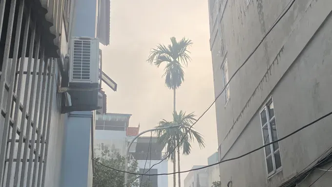 img-3716-2465-16.jpeg - Copy